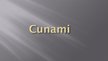 Presentations 'Cunami', 1.