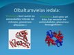 Presentations 'Olbaltumvielas', 3.