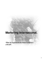 Research Papers 'Plan de Exportación de Vinos Carmenere a Brasil', 1.