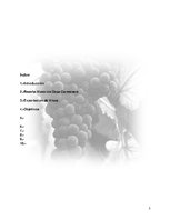 Research Papers 'Plan de Exportación de Vinos Carmenere a Brasil', 2.