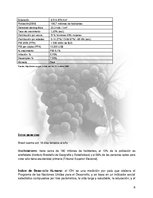 Research Papers 'Plan de Exportación de Vinos Carmenere a Brasil', 7.