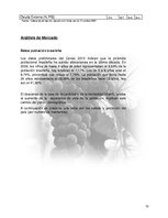Research Papers 'Plan de Exportación de Vinos Carmenere a Brasil', 9.