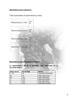 Research Papers 'Plan de Exportación de Vinos Carmenere a Brasil', 11.