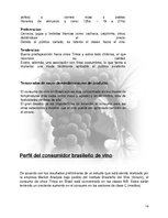 Research Papers 'Plan de Exportación de Vinos Carmenere a Brasil', 13.
