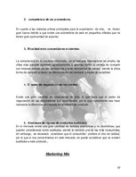 Research Papers 'Plan de Exportación de Vinos Carmenere a Brasil', 21.