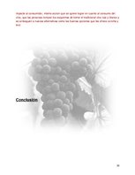 Research Papers 'Plan de Exportación de Vinos Carmenere a Brasil', 29.