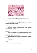 Summaries, Notes 'Osteosarkoma, mastopātija, pūslīšmola, glomerulonefrīts un psoriāze', 14.