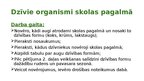 Presentations 'Pētījuma apraksts Dabaszinības 5. klase Cilvēku veidotas ekosistēmas - Pagalms', 4.