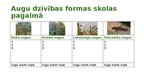 Presentations 'Pētījuma apraksts Dabaszinības 5. klase Cilvēku veidotas ekosistēmas - Pagalms', 5.