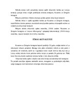 Research Papers '17.gadsimta parādes portrets Kurzemē', 2.