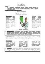 Summaries, Notes 'Vadīšana', 1.