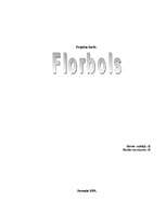 Research Papers 'Florbols', 1.