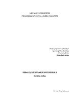Practice Reports 'Pedagoģiskā prakse', 52.