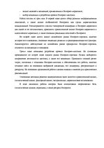 Term Papers 'Проект создания предприятия электронной коммерции', 4.