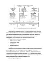 Term Papers 'Проект создания предприятия электронной коммерции', 19.