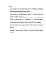 Term Papers 'Проект создания предприятия электронной коммерции', 34.