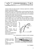 Research Papers 'Cēlējspēka palielināšanas ierīces: spraugas, aizspārni, priekšspārni', 12.