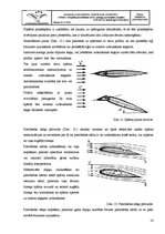 Research Papers 'Cēlējspēka palielināšanas ierīces: spraugas, aizspārni, priekšspārni', 14.