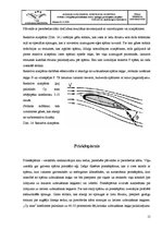 Research Papers 'Cēlējspēka palielināšanas ierīces: spraugas, aizspārni, priekšspārni', 15.