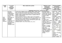 Essays 'Eksāmens rotaļu analīze', 3.