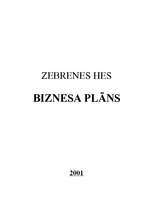 Business Plans 'Zebrenes HES', 1.
