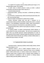 Term Papers 'Zemnieku saimniecības "Kurmīši" saimnieciskās darbības analīze un attīstības per', 19.