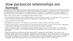 Presentations 'Parasocial relationships', 3.