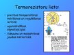 Presentations 'Termorezistors', 5.