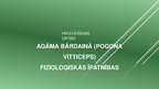 Presentations 'Agāma bārdainā (Pogona vitticeps) fizioloģiskās īpatnības', 1.