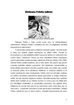 Research Papers 'Džeksona Polloka dzīve un daiļrade', 7.