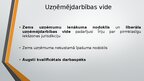 Presentations 'Uzņēmējdarbības vide Īrijā', 3.