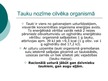 Presentations 'Tauki', 11.