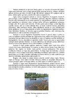 Research Papers 'Juglas ezera eitrofikācijas riska monitorings', 14.
