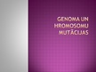 Presentations 'Genoma un hromosomu mutācijas', 1.