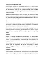 Summaries, Notes 'Vasilijs Kandinskis', 10.