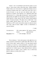 Research Papers 'Hokeja terminoloģijas polisēmijas atšķirības angļu un latviešu valodā', 16.