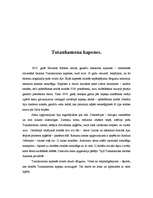 Research Papers 'Tutanhamona kapenes', 1.