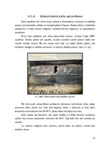 Practice Reports 'Prakses atskaite AS "Rīgas Siltums"', 24.