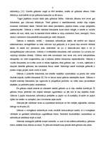 Research Papers 'Grāmata', 4.