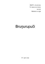 Research Papers 'Bruņurupuči', 1.