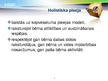 Presentations 'Holistiskā pieeja', 3.