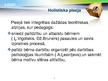 Presentations 'Holistiskā pieeja', 4.