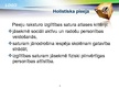 Presentations 'Holistiskā pieeja', 9.