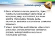 Presentations 'Holistiskā pieeja', 11.
