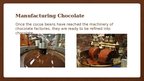 Presentations 'Chocolate Production', 11.