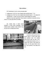 Research Papers 'SIA "BetonElements" - betona ražošanas rūpnīca', 6.