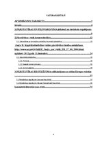 Term Papers 'Komersanta pārstāvības komercdarījumos teorētiskie un praktiskie aspekti', 4.