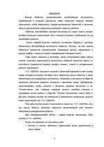 Term Papers 'Организация учёта запасов ООО "Airina"', 6.