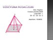 Presentations 'Regulāras četrstūra piramīdas tilpuma aprēķināšana', 3.