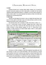 Summaries, Notes 'Programma Microsoft Excel', 1.